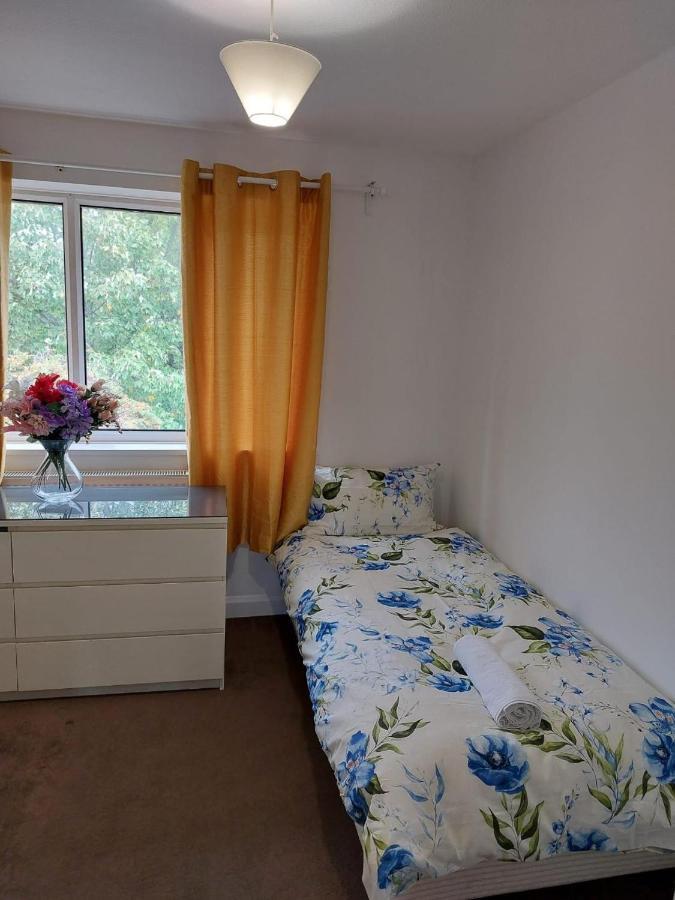 Superb 2 Bedroom Flat, Sleeps 6 Кройдон Екстериор снимка